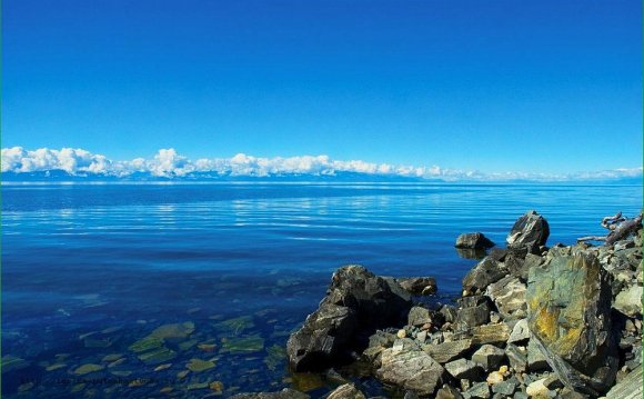 Self-Study Biker Reviews