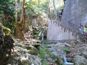 valley-of-butterflys